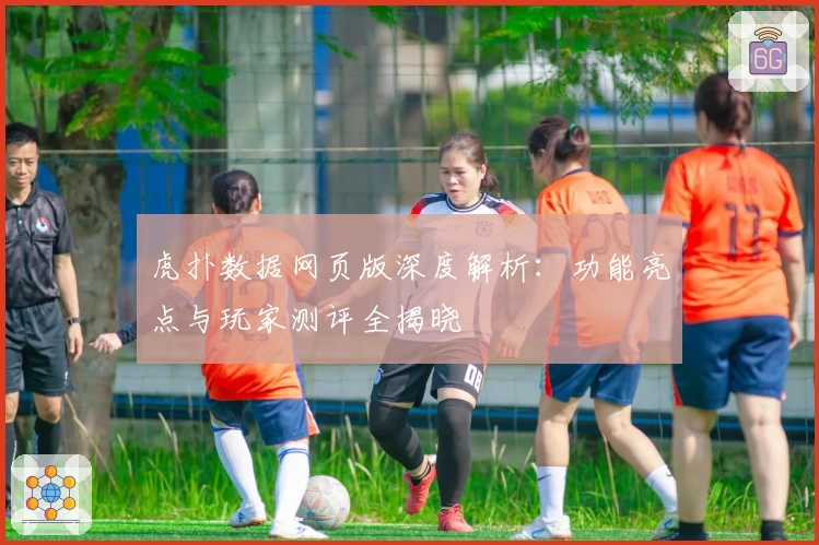 虎扑数据网页版深度解析：功能亮点与玩家测评全揭晓